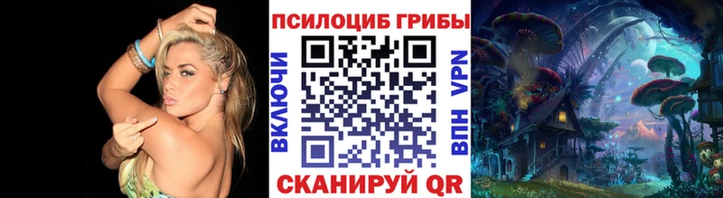 Галлюциногенные грибы ЛСД  Купить где  Сусуман 