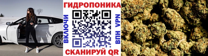 Шишки марихуана LSD WEED Купить закладки Сусуман